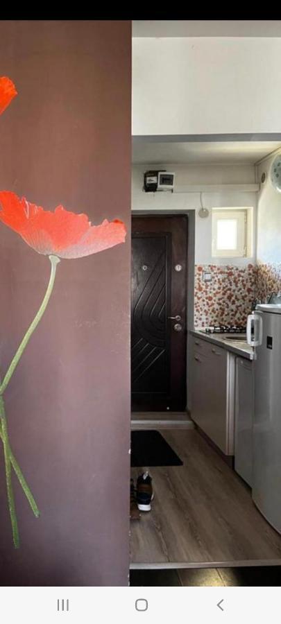 Zenapartment Μπρασόβ Εξωτερικό φωτογραφία