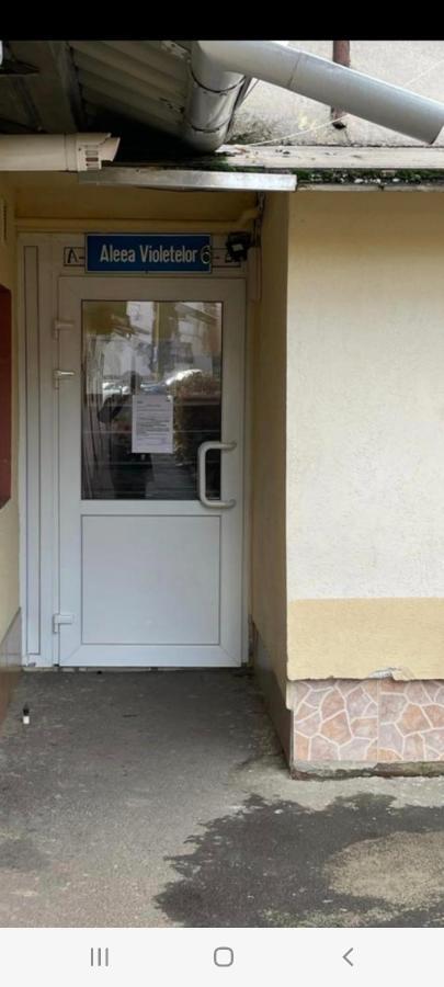 Zenapartment Μπρασόβ Εξωτερικό φωτογραφία